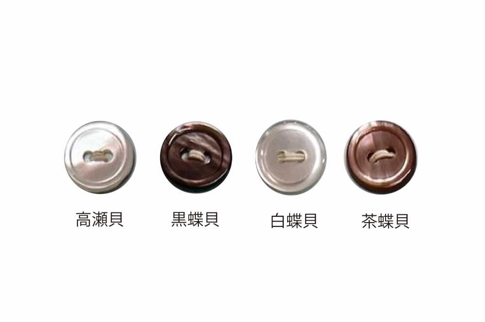1702 زر من الصدف مقاس 17 ذو فتحتين[Buttons] Tomoi
