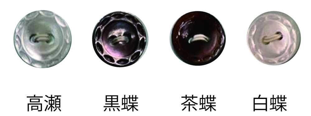 231 زر صدفي ذو ثقبين بحافة[Buttons] Tomoi