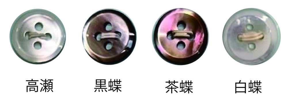 238 زر صدفي بأربع ثقوب مع حافة[Buttons] Tomoi