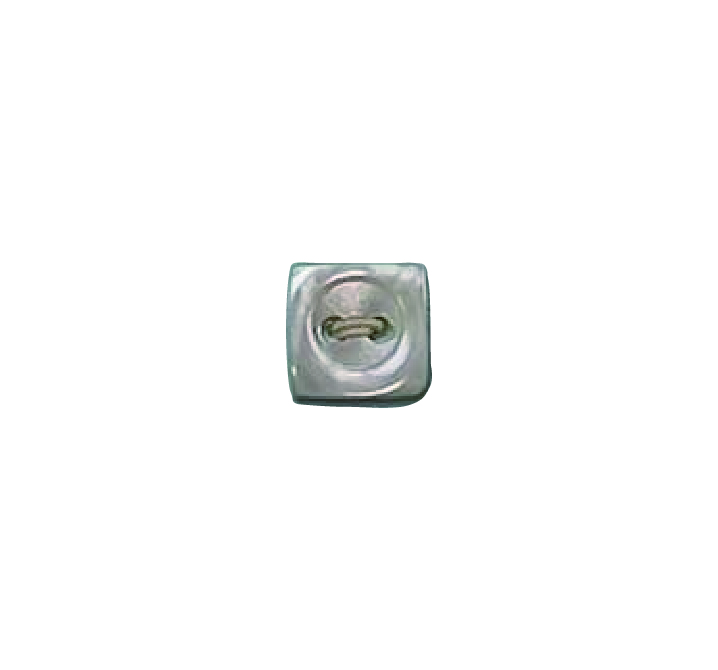 491 زر صدفي بحافة وبفتحتين[Buttons] Tomoi