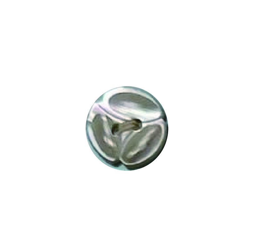 200 زر بفتحتين، Takase Shell[أزرار] Tomoi