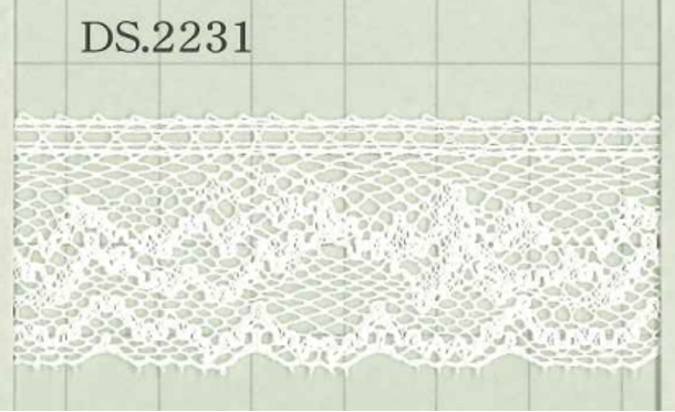 DS2231 عرض دانتيل قطني: 27mm DAISADA