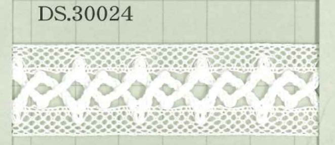 DS30024 دانتيل سلم عرض: 22mm DAISADA