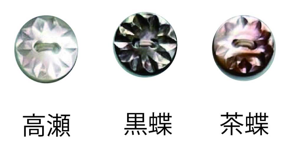 156 زر بفتحتين، صدفة Takase[Buttons] Tomoi