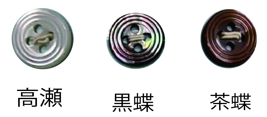172 زر بأربع فتحات[Buttons] Tomoi