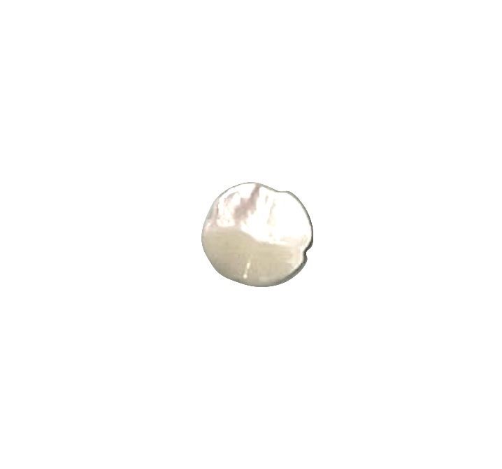 604 زر صدفي بأربع أوراق Takase Shell[Buttons] Tomoi