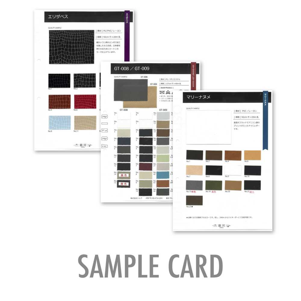 GINGA-SAMPLE GINGA بطاقة عينات