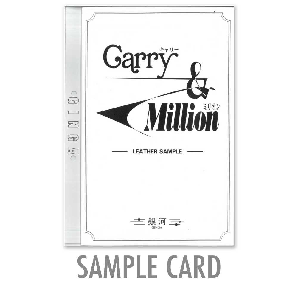 GINGA-SAMPLE2 GINGA بطاقة عينات لـ Carry & Million
