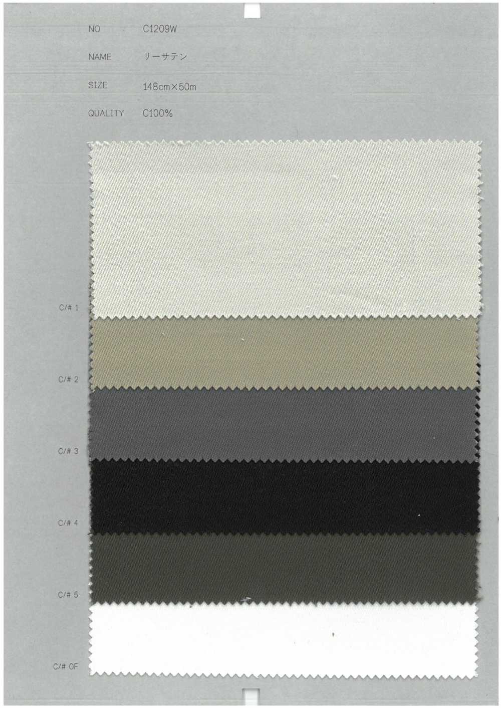 C1209W Lee ساتان[Textile / Fabric] COLLECT