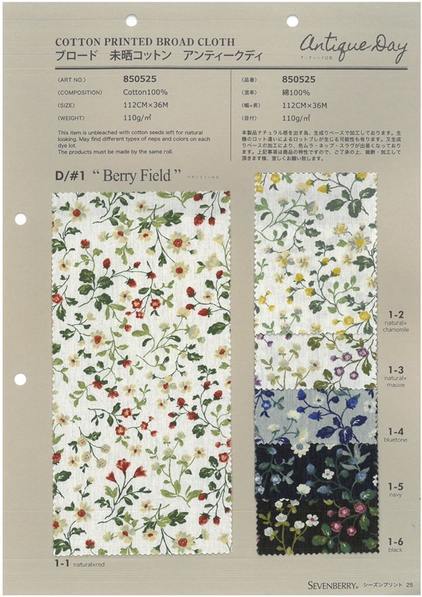 850525 SEVENBERRY® برودكلوث قطن غير مبيض Antique D Berryfield[Textile / Fabric] VANCET