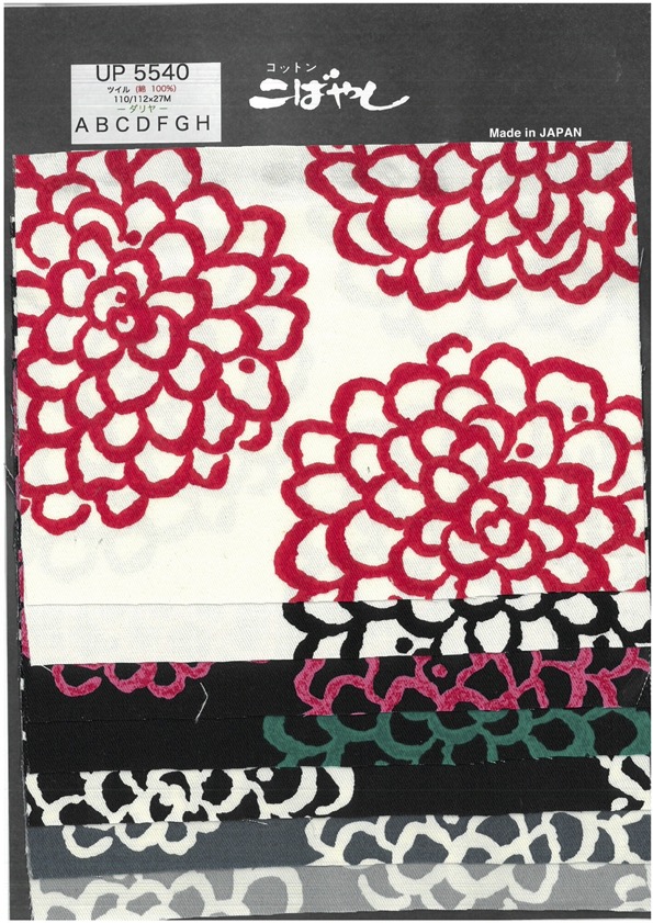 UP5540 تويل بطبعة داليا[نسيج / قماش] Cotton Kobayashi