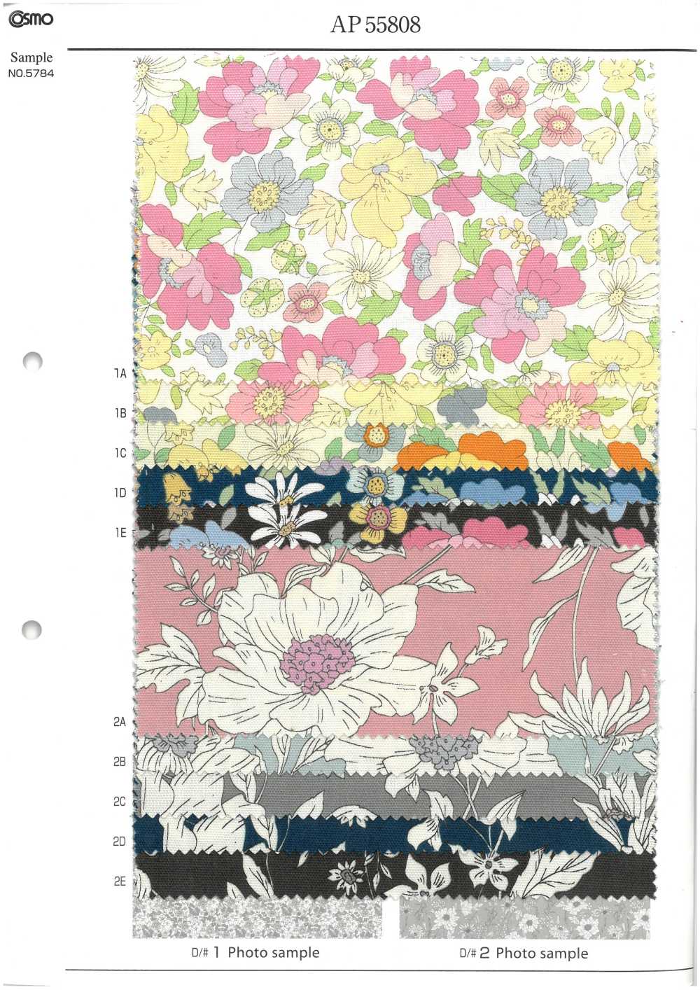 AP55808-DR Essential Grace 2 Oxford (طيّ نصفي)[نسيج / قماش] COSMO TEXTILE