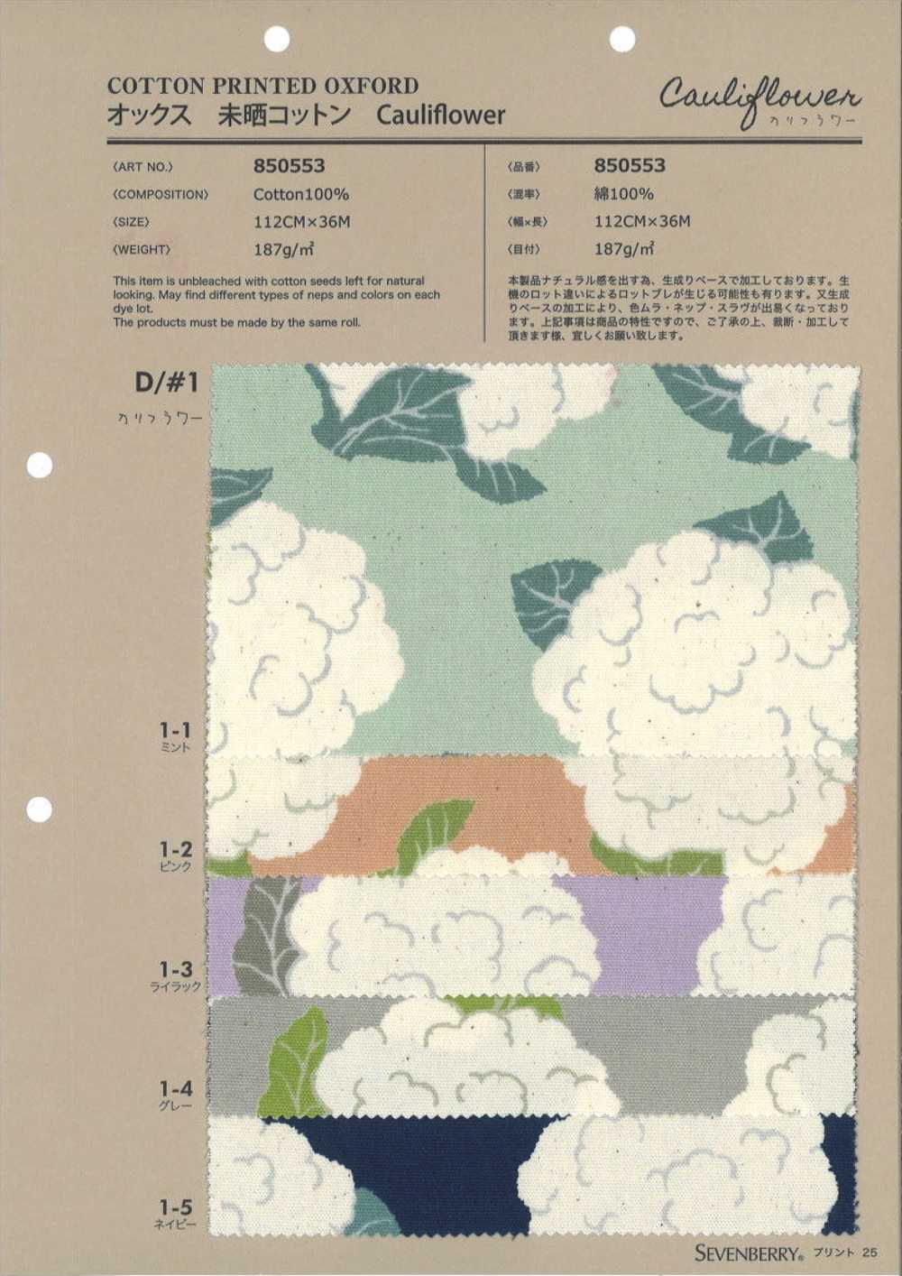 850553 أوكسفورد قطن غير مبيض Cauliflower[Textile / Fabric] VANCET