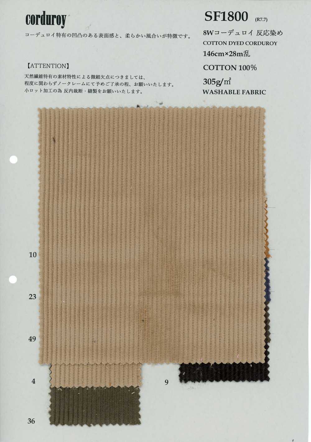 SF1800 كوردروي 8W مصبوغ بصبغة تفاعلية[Textile / Fabric] KOYAMA