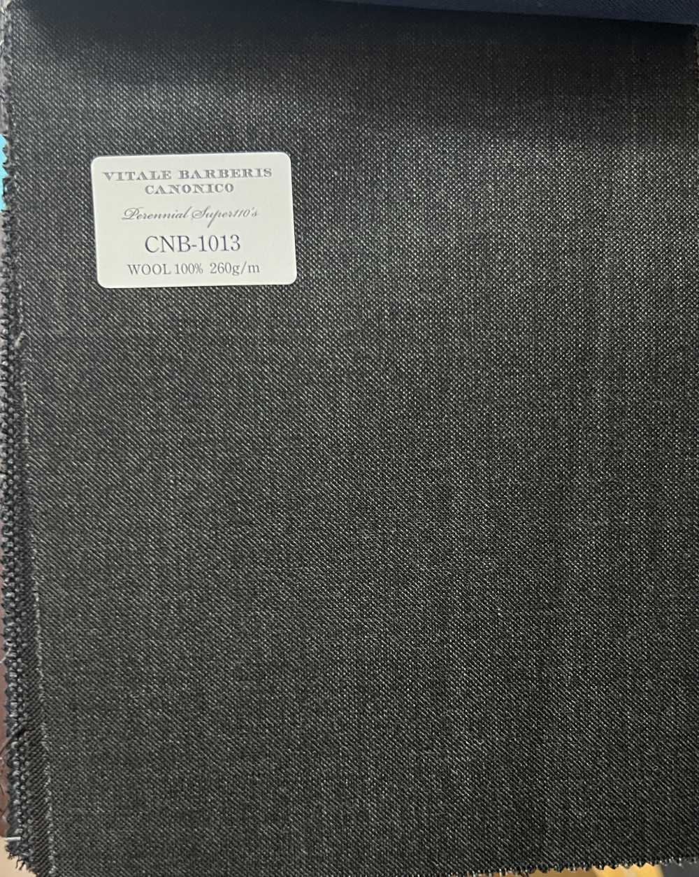 CNB1013 CANONICO Staple Super110's PERENNIAL رمادي داكن سادة[قماش] CANONICO