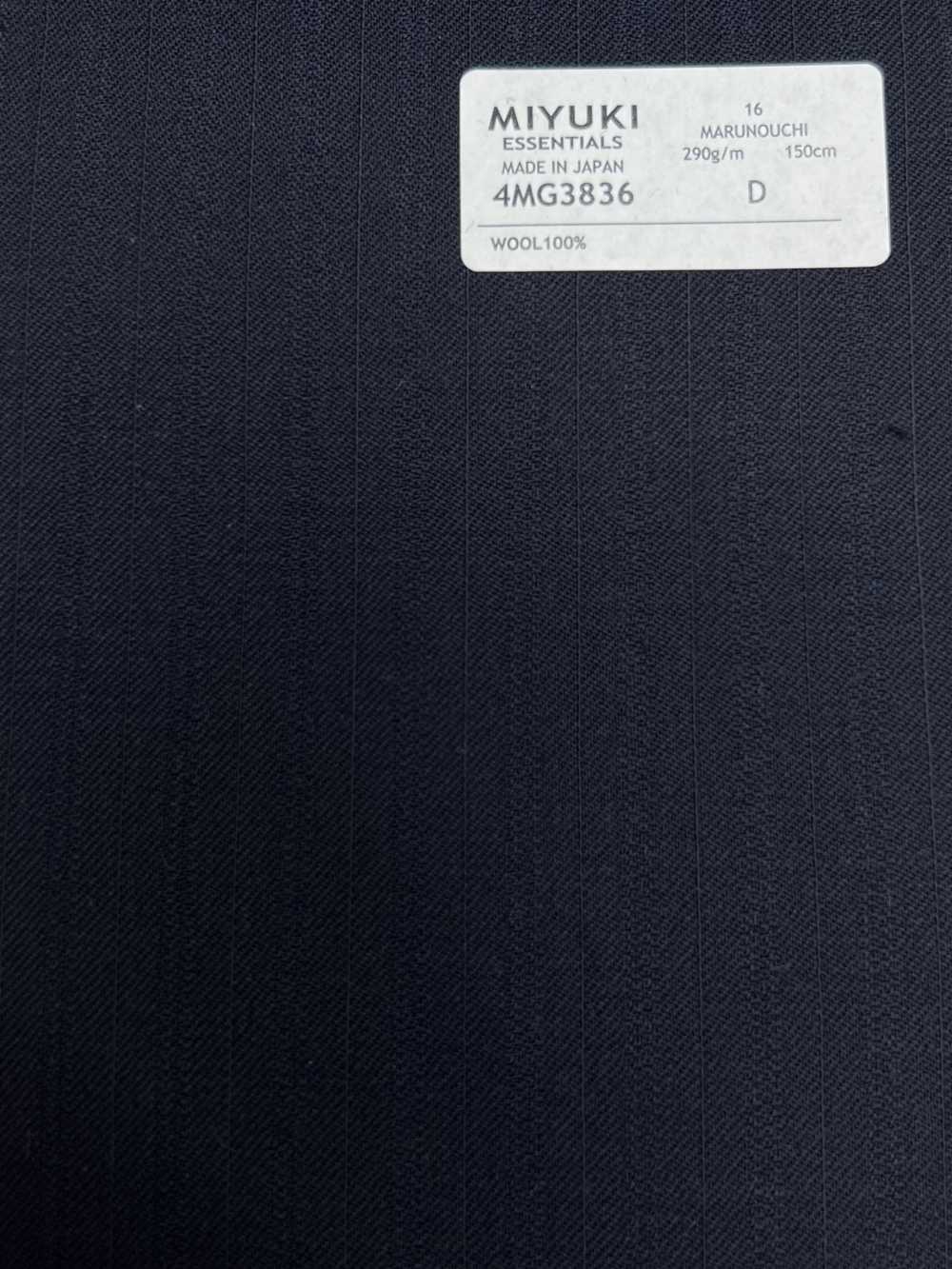 4MG3836 25AW MARUNOUCHI شريط متناوب كحلي[قماش] Miyuki Woolen Mills