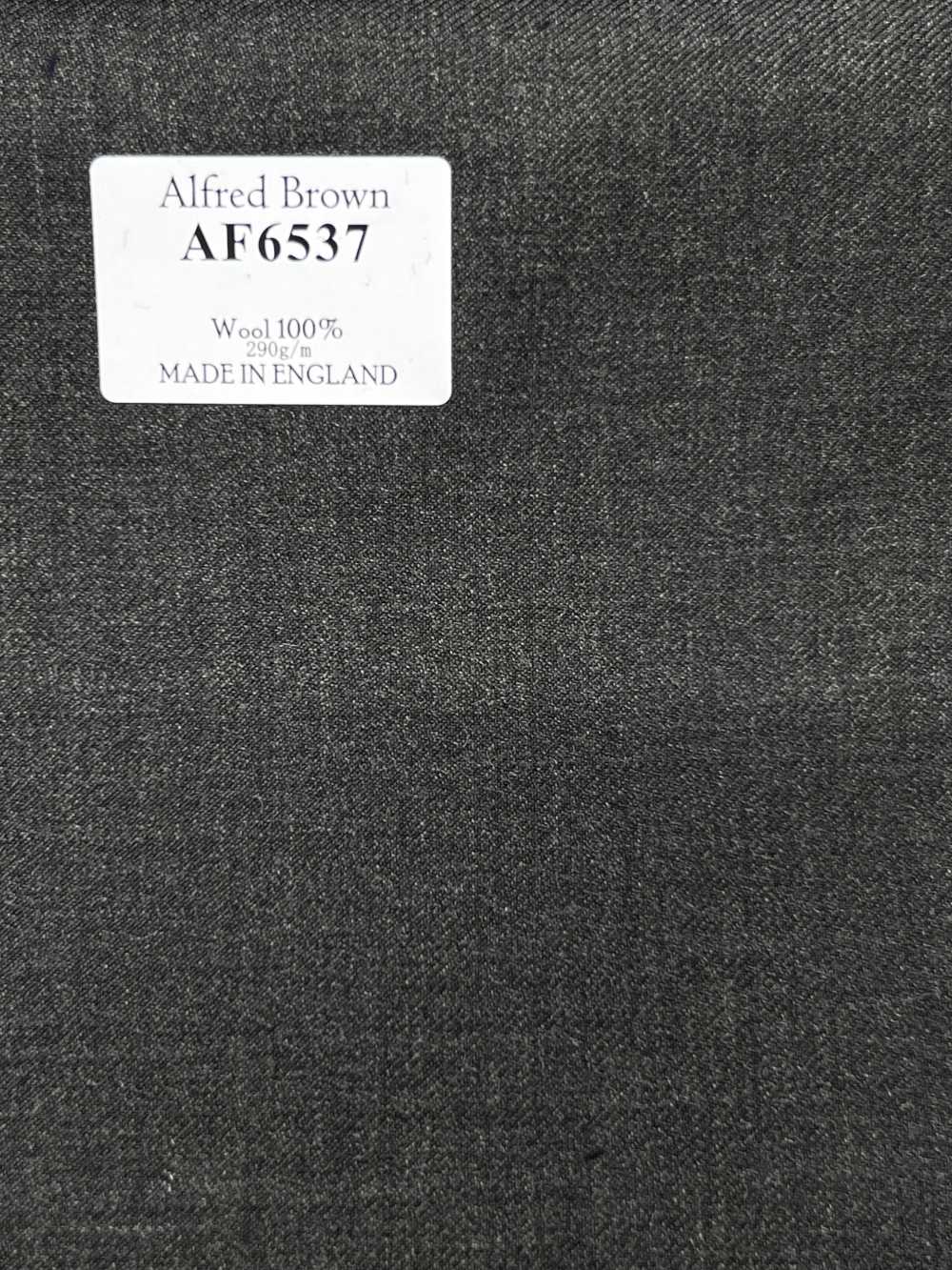 AF6537 Alfred Brown كحلي داكن سادة[قماش] HOSOI SYOJI