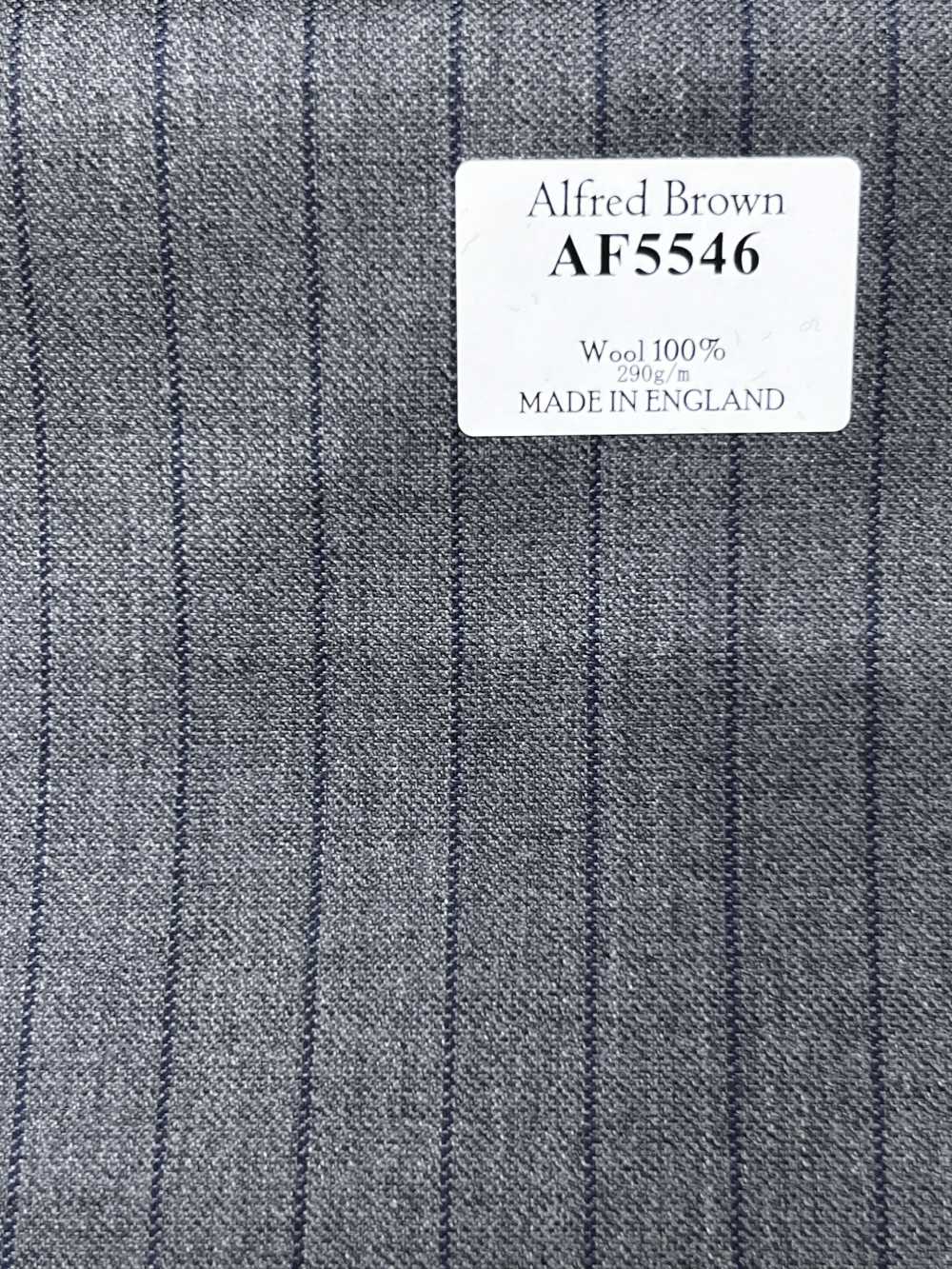 AF5546 Alfred Brown رمادي × أزرق بحري مخطط[قماش] HOSOI SYOJI