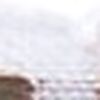 بني/أبيض