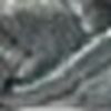 رمادي