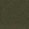 زيتوني
