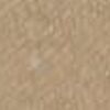 Sahara