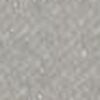 Ash Gray