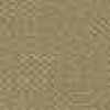 بيج