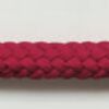 Rose Red