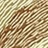 ذهبي فاتح/بني
