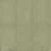 أصفر فاتح