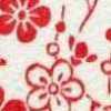 Ivory X Red