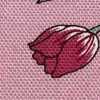 Tulip Pink