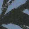 أزرق ساكس