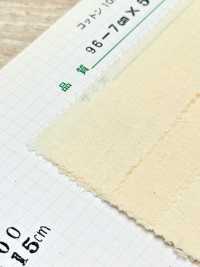 10000 قماش شيتينغ خفيف للبلوزات والفساتين والبدلات[قماش الشيتينغ] Tokai Textile صور إضافية