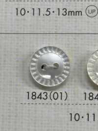 1843 زر من راتنج البوليستر بفتحتين مع حافة[أزرار] DAIYA BUTTON صور إضافية