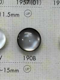 190B زر من راتنج البوليستر[أزرار] DAIYA BUTTON صور إضافية