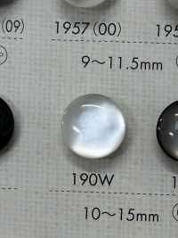 190W زر من راتنج البوليستر[أزرار] DAIYA BUTTON صور إضافية