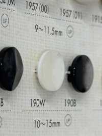 190W زر من راتنج البوليستر[أزرار] DAIYA BUTTON صور إضافية