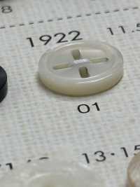 1922 DAIYA BUTTONS زر بوليستر غير منتظم بأربعة ثقوب بنمط الصدفة[أزرار] DAIYA BUTTON صور إضافية