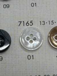 7165 DAIYA BUTTONS أزرار بوليستر على شكل الصدف[Buttons] DAIYA BUTTON صور إضافية