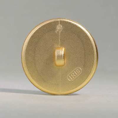 A5854 حلقة مستطيلة من راتنج ABS مع قاعدة، تشطيب مطفي، زر لامع[أزرار] IRIS صور إضافية