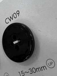 CW09 زر راتنج البوليستر بأربع فتحات[Buttons] DAIYA BUTTON صور إضافية
