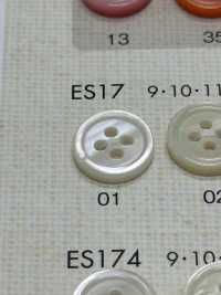 ES17 DAIYA BUTTONS زر بوليستر بمظهر الصدف[أزرار] DAIYA BUTTON صور إضافية