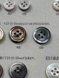 ES177 DAIYA BUTTONS زر بوليستر بشكل يشبه الصدفة[أزرار] DAIYA BUTTON صور إضافية