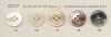 ES177 DAIYA BUTTONS زر بوليستر بشكل يشبه الصدفة