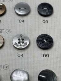 FM303 DAIYA BUTTONS زر بوليستر بشكل الصدف[أزرار] DAIYA BUTTON صور إضافية