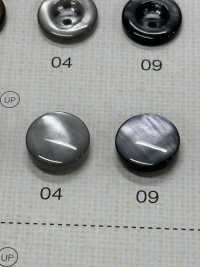 FM304 DAIYA BUTTONS زر بوليستر بنمط الصدف[أزرار] DAIYA BUTTON صور إضافية