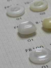 FP208 DAIYA BUTTONS زر بوليستر بمظهر الصدف (مربع)[أزرار] DAIYA BUTTON صور إضافية
