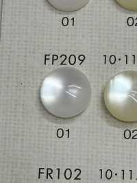 FP209 DAIYA BUTTONS زر بوليستر بتصميم صدفي[أزرار] DAIYA BUTTON صور إضافية